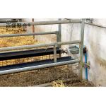 PKPM Drawing Design Fast Construction Light Steel Structure Cattle Cow Goat