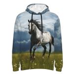 Men's Hoodie Long Sleeve 3D Print Drawstring Casual Fashion Pullover Sweatshirt