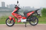 Powerful Engine 4 Stroke 125cc Street Legal Motorcycle 501W - 1000W