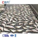 High Efficiency Frozen IQF Tunnel Freezer Quick For Supermarket