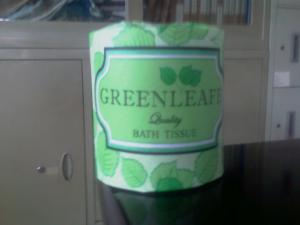China Green leafe 2ply recycle Toilet Tissue Paper wholesale