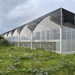 China Hot Dip Galvanized Steel Pipe Green House Hothouse Ventilated Plastic Sawtooth Multi-span Film Tropical Greenhouse wholesale