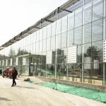 Agricultural Multi Span Hydroponic Fiber Glass Greenhouse For Vegetables Growing