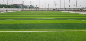 China 70mm Grass Carpets Synthetic Grass Artificial Grass For Football Field wholesale