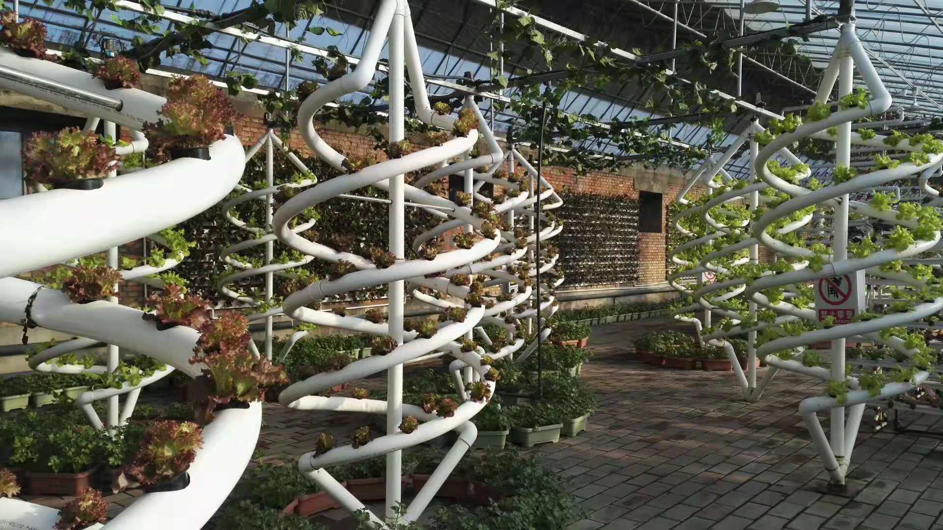 Soilless Culture Biological Control Double Helix Hydroponic Tube For Indoor