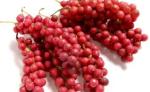 Schisandra Extract 2% ,5%, 9%Schisandrins, anti aging, Protect liver,CAS.: 7432