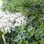 Outdoor Boxwood Indoor Artificial Living Wall Home Decoration