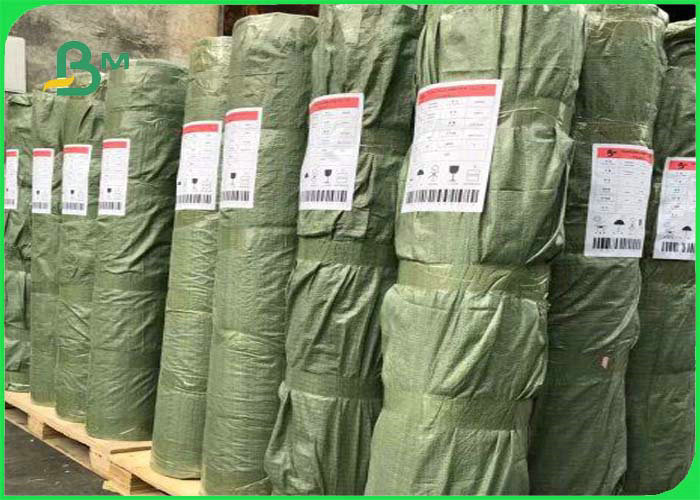 Biodegradable & Waterproof Multicoloured Washable Kraft Paper Roll For Handbags