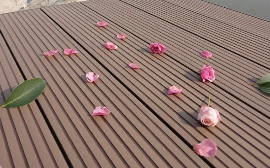 Cheap WPC Wood Plastic Composite Decking for Outdoor Garden Decoration
