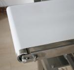 Check Weigher INCW-G150 Stainless steel Waterproof 2g-200g In Line Industry