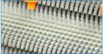 Stainless Carrot Ginger Brush Roller 1200kg/H Potato Washer And Peeler Machine
