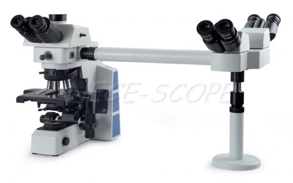 Quality Fluorescent Light Multi View Microscope Double Layered DIS With 187mm X166mm Stage for sale