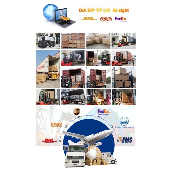 KECAI High Speed Dual XP600 Head A3 30CM DTF Printer Desktop Automatic White Ink Circulation Printing Machine for Garment