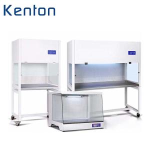 China Vertical Desk Top Air Clean Bench Laminar Air Flow Cabinet For Laboratory Medical wholesale