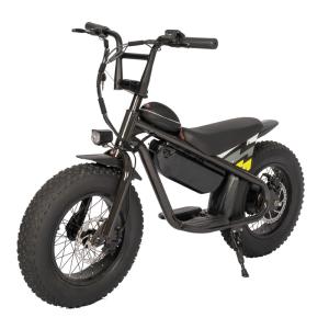 China 48V 250W Kids Electric Bike Perfect for Outdoor Child Toys and Outdoor Sports Riding wholesale