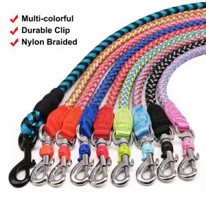 China Comfortable Nylon Dog Walking Leash Padded Rope Light Weight Weather Proof wholesale