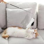 Flexible Cat Wand Toy , Multicolor Retractable Cat Toy Stick With Feather