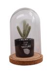ODM Dampproof Mini Glass Bottle Corks Glass Base Dome 2.5*2.2IN Groove Line