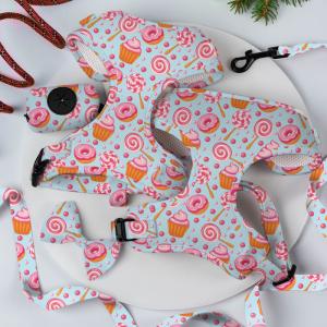 China XS Dog Harness And Leash Set Sublimation Decoration Scarf Cat Harness Set wholesale