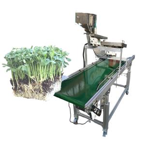 China Customised 600*700*800mm Professional Pumpkin Seeds Tray Seeder for Nursery Planting wholesale
