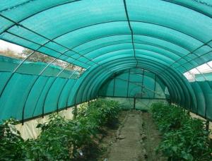 China HDPE Aschel Knitted Agriculture Shade Net For Greenhouse , 30gsm-300gsm wholesale