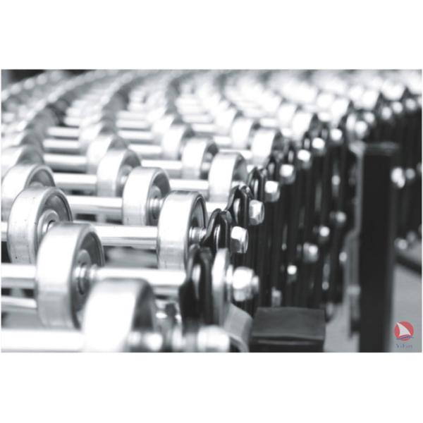 Flexible Extendable Gravity Steel Skate Wheel Conveyor
