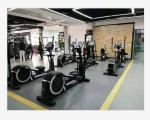 Sport Machine Fitness Club Elliptical Cross Trainer Smooth Home Gym