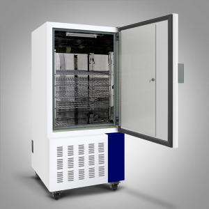 China OEM Temperature Humidity Chamber 220V Temperature Humidity Test Chamber wholesale