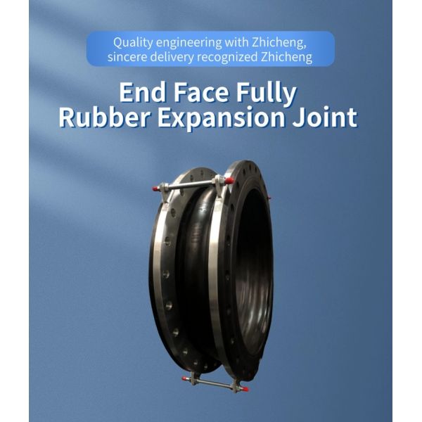 Nominal Diameter DN25 DN3000 Rubber Expansion Joint Developed for Low Maintenance and Absorption of Movement in Piping Networks