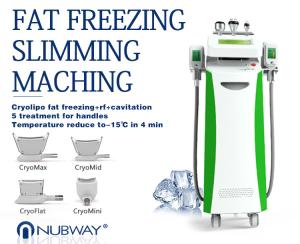 China Wonderful loss weight treatment cryolipolysis fat freeze slimming machine / freeze lipo wholesale
