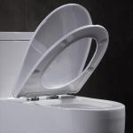 Csa Certification Siphonic One Piece Toilet Round Bowl Flushing Side Holes