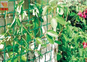 China Plastic Garden Netting For Climbing Plants , Garden Fence Roll With UV Stabilized wholesale