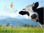 Mini solar gps tracker ip67 waterproof Reachfar V26 suitable for cattle vehicle