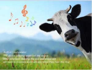 China Phone number track location gps sheep animal tracking RF-V26 with free apps from google pl wholesale
