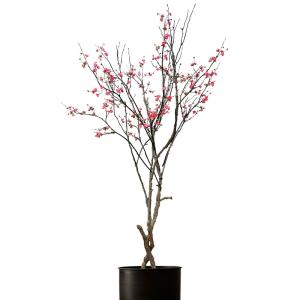China Plant Sakura Real Touch Artificial Flowers Fabric Chinese Style Landscaping Tree wholesale