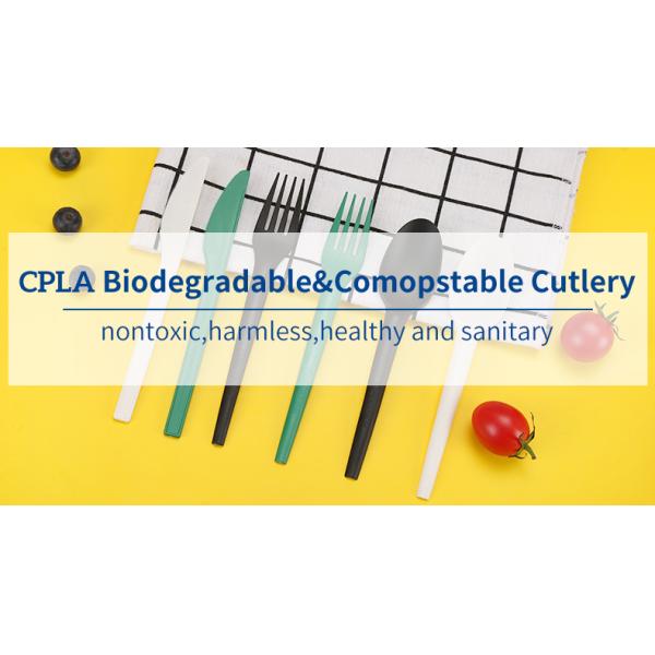 Quanhua Wrapper Fast Food Disposable Biodegradable Spoon Fork Compostable Cornstarch PLA Cutlery Set