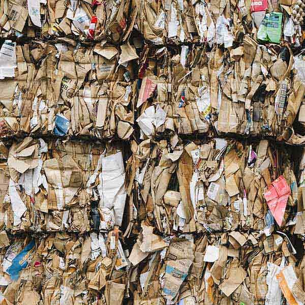 European Size Wood Pallet Machine for Recycling Wood in Italy