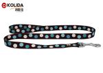 Multi - Color Nylon Webbing Cat Halter Leash Nylon Cat Collar Leash