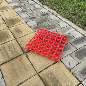 China Eco Friendly plastic egg tray Reusable Rectangular 30 Holes wholesale