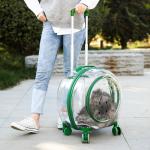 Transparent Capsule Pet Bag Carrier Luggage Case Transparent Trolley Case With