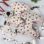 Neoprene Breathable Dog Walking Kit Flora Puppy Leashes Harnesses