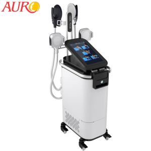 China 4 Handles Body Slimming Machine Screen 15.6 Inch Cool Sculpting Magnetic Thin Muscle Building wholesale