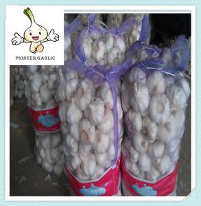 China New Crop Chinese Garlic Fresh Garlic Normal White garlic wholesale