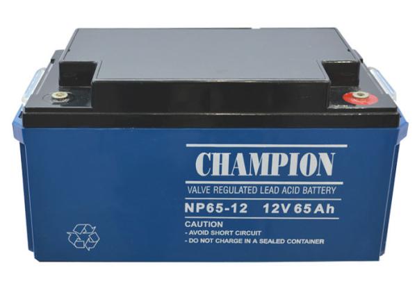 China Champion UPS Battery 12V65Ah NP65-12 Lead Acid AGM Battery VRLA Battery,