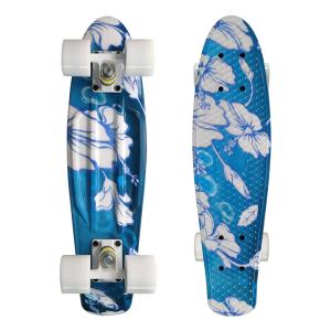 China OEM Plastic Penny Board Painting Design Easy To Ride For Beginners wholesale