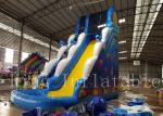Children / Adult Blue Inflatable Water Slide With Two Lane 1 Year Warranty