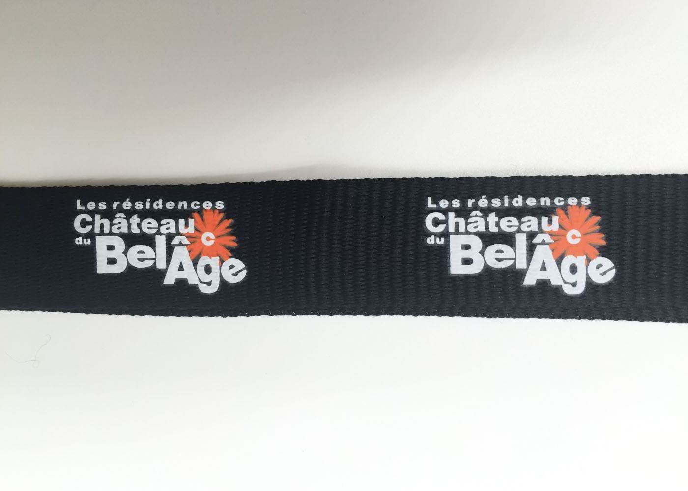 Trade Shows Silk Screen Lanyards , Royal Blue Lanyards With Customized Logo