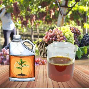 China Liquid Amino Acid Foliar Fertilizer Peptides Chelate ZnMnBMo 550g/L For Agricultural Farm wholesale