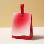 Custom Color Accepted Christmas Kraft Paper Gift Bag with Customized Logo and