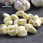 90KG 220V Garlic peeling machine red onion peeling machine commercial electric